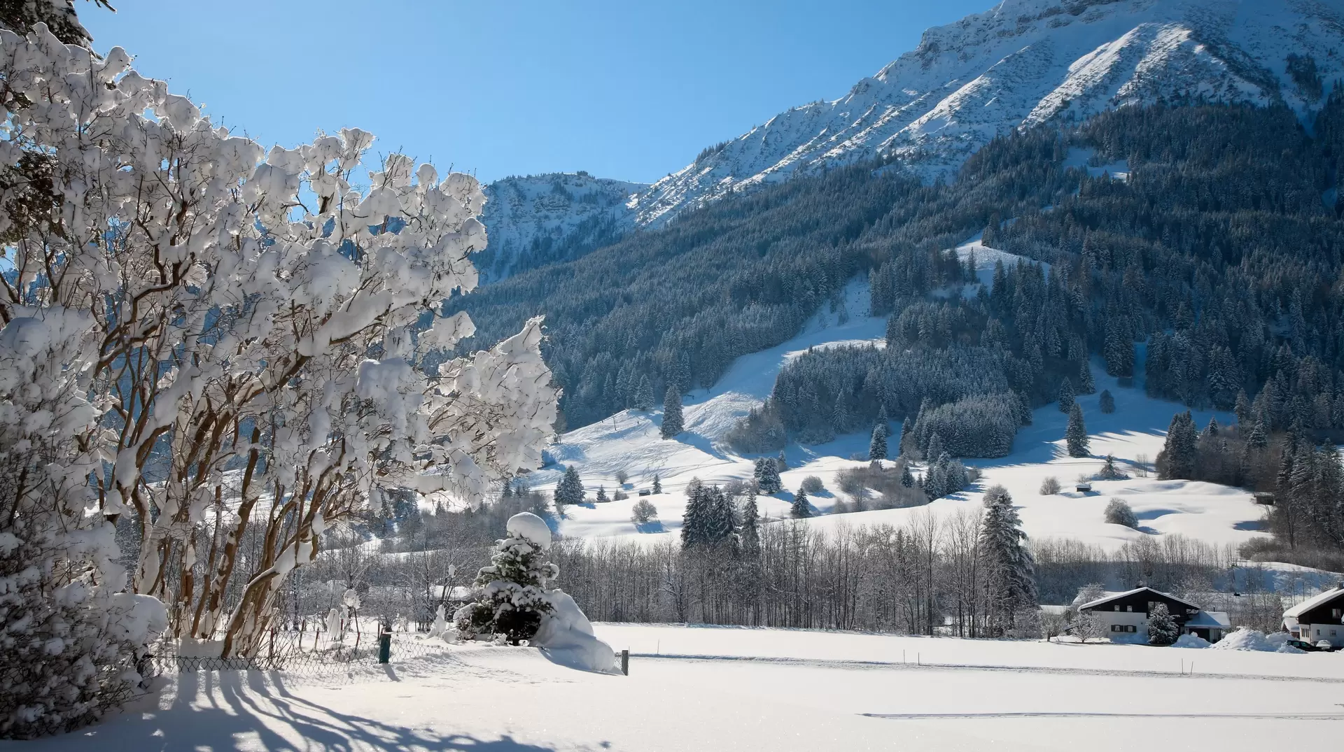 Skizentrum in Pfronten Steinach